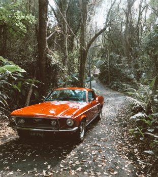 red-and-black-ford-mustang-1805053